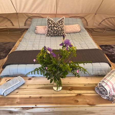 Bluebell Tent At Ballyward Croft Ardkeen Zewnętrze zdjęcie