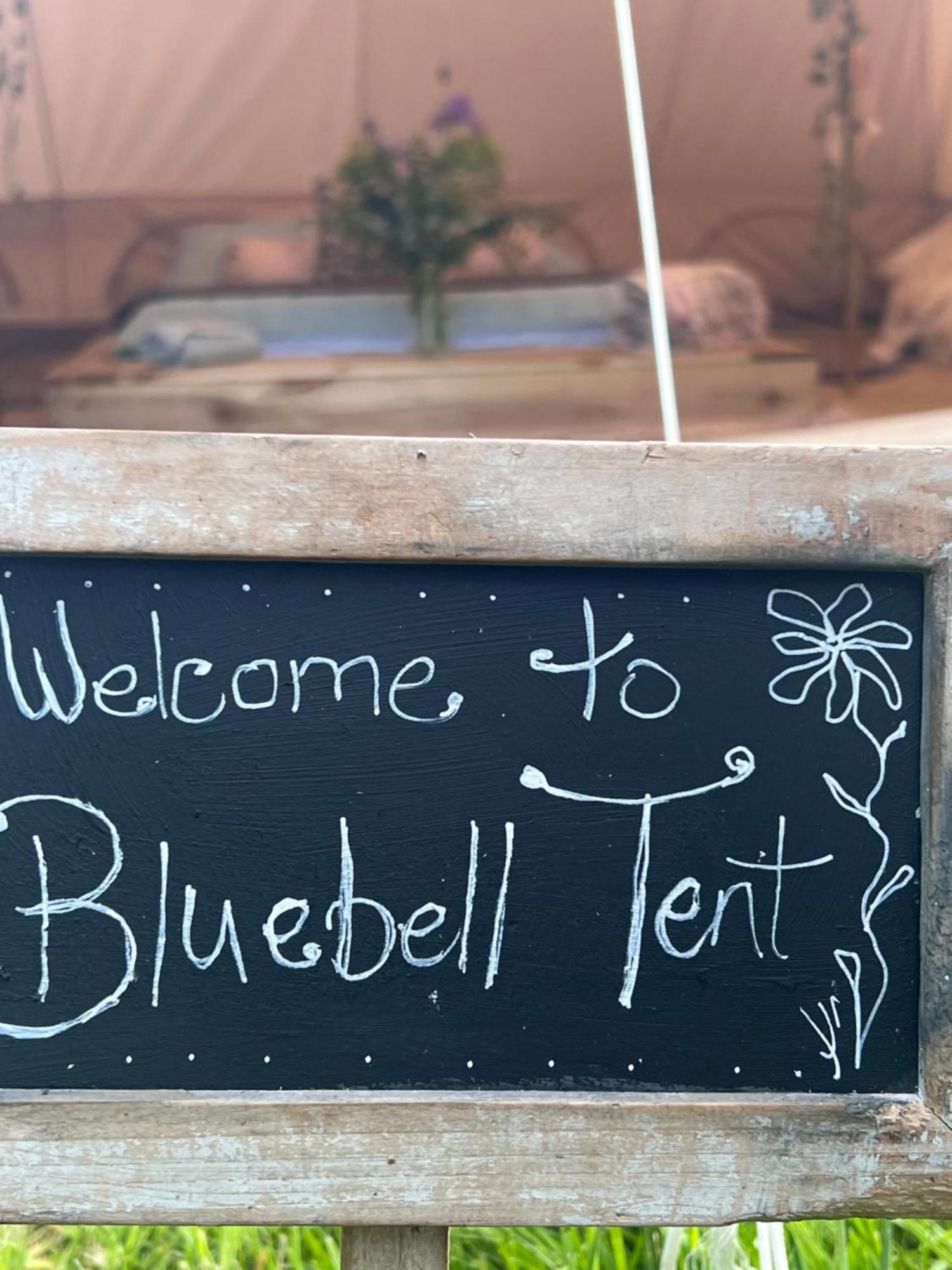 Bluebell Tent At Ballyward Croft Ardkeen Zewnętrze zdjęcie