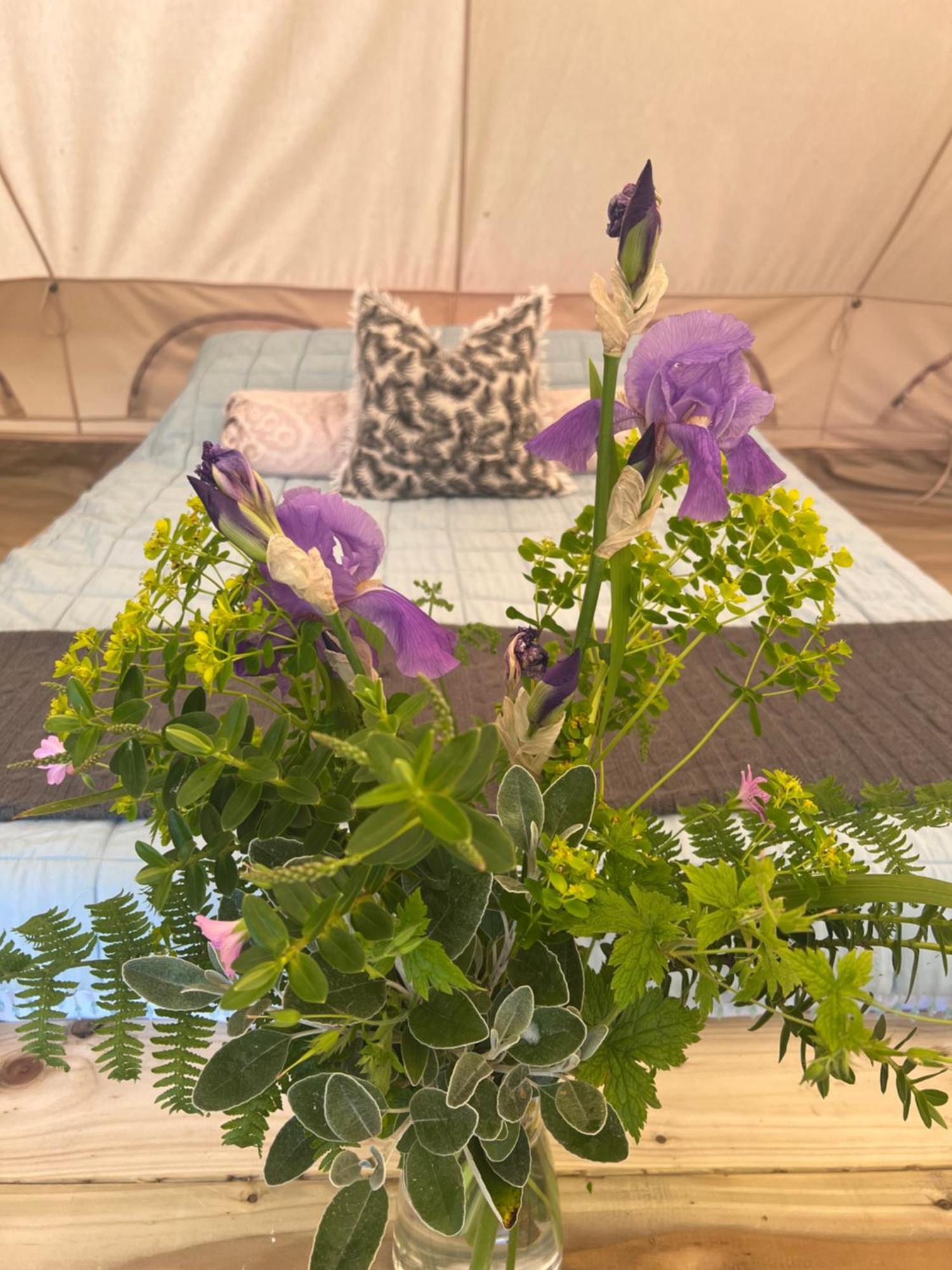 Bluebell Tent At Ballyward Croft Ardkeen Zewnętrze zdjęcie