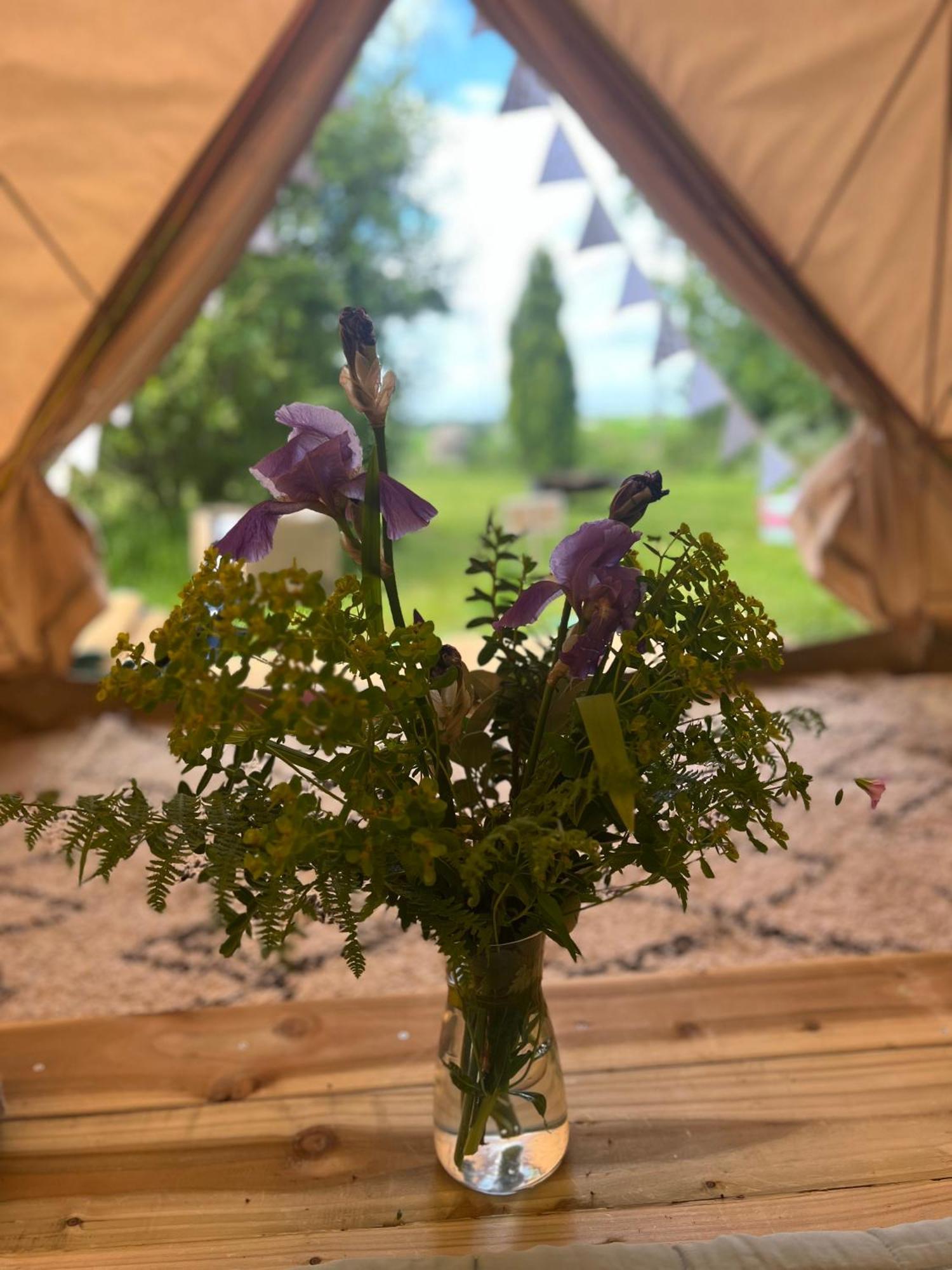 Bluebell Tent At Ballyward Croft Ardkeen Zewnętrze zdjęcie
